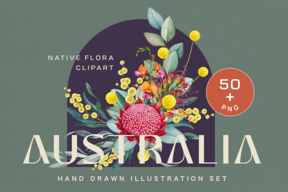 Download Australia Flora Watercolor Clipart - Flora Collection