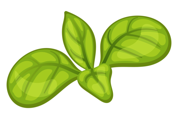 Download Green Herb Leaves Cartoon Icon. Aroma Pl - Car Collection